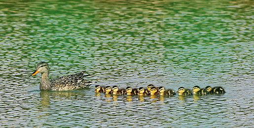 小岛秀夫再谈《OD》：这是一次冒险，前所未有的东西